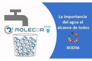 La importancia de la accesibilidad al agua para Molecor