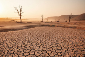 El mundo entra en &lsquo;bancarrota h&iacute;drica&rsquo;, seg&uacute;n un informe de la ONU