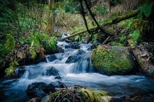 Microsoft reabastecerá más agua de la que consume para el 2030