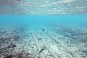 Piélago Ingeniería y Medioambiente acreditado por ENAC para inspeccionar emisarios submarinos