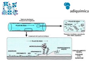 SINCRO &ndash; Sistema Inteligente de Prevenci&oacute;n del Riesgo Microbiol&oacute;gico en Agua