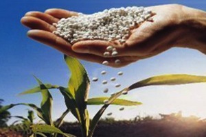 Un proyecto europeo utilizará el purín porcino para crear nuevos fertilizantes