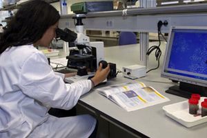 El Instituto de Ingenier&iacute;a del Agua y Medio Ambiente (IIAMA) publica su "Memoria de Actividades 2016"