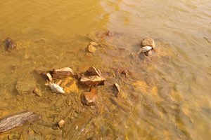 Ríos rojos: el problema ambiental de las aguas ácidas de mina