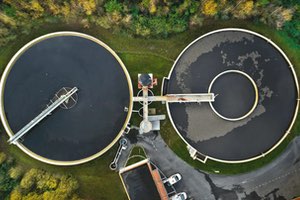 Aprender de la naturaleza para enfrentar el desafío climático