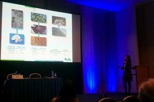 FACSA presenta el proyecto REMEB en el Congreso Internacional Permea, referente en la investigación de tecnología de membranas