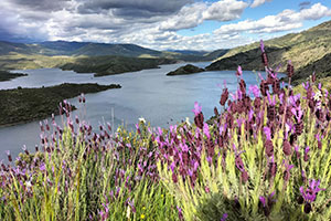 Los embalses de Canal de Isabel II afrontan diciembre a más del 70 % de su capacidad