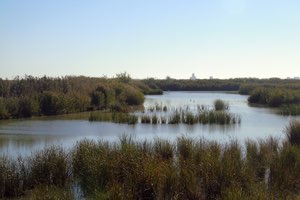 El IIAMA participa en un proyecto internacional para impulsar "Soluciones basadas en la Naturaleza" (SbN)