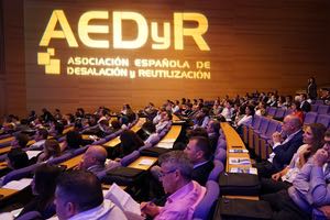 Abierto el plazo de envío de abstract para el "XIII Congreso Internacional de AEDyR" en Córdoba del 24 al 26 de noviembre
