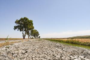 Las reservas de agua están un 35% por debajo de la media de los últimos diez años
