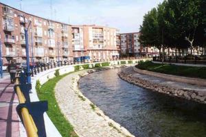 La CH del Duero investiga una mortandad de peces en el río Esgueva  a su paso por Valladolid