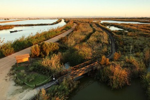 El Ayuntamiento de Valencia apoya iniciativas para recuperar L´Albufera con humedales artificiales como el del Tancat de la Pipa, Milia y L’Illa
