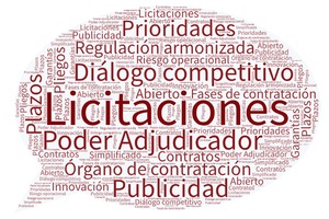Webinar sobre "Contratos del Sector Público para Infraestructuras de Agua"