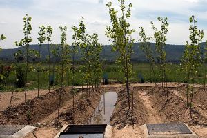 &iquest;Aguas residuales: residuo o recurso?