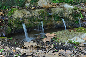 Antibióticos en el agua subterránea: cómo frenar este contaminante emergente