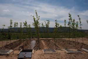 Investigadores espa&ntilde;oles participar&aacute;n en el desarrollo nuevos filtros verdes para aumentar su eficacia