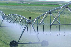 Reutilizar el agua: Una oportunidad ante los retos de la agricultura