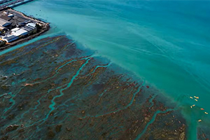 El porqué de las aguas turquesas del estuario del río Odiel