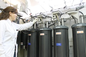 ¿Qué ofrece la solución DIGESMART para la gestión del digerido en las plantas de biogás?