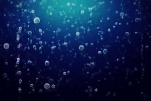 SEWERVAC apuesta fuertemente por mejorar la calidad del agua en el sector medioambiental y agrícola con Oxi-fuch