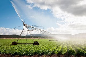 Empresas y Universidad se unen para reconvertir las aguas de pozo y aprovecharlas en el regadío del Campo de Cartagena