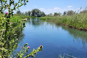 Una investigación del IIAMA propone medidas para adaptar al cambio climático la gestión del agua en la D. H. del Júcar