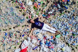 05 de junio, Día Mundial del Medio Ambiente