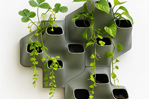 Investigadores de la UA y de la UPC desarrollan una fachada vegetal que imita el funcionamiento de los humedales
