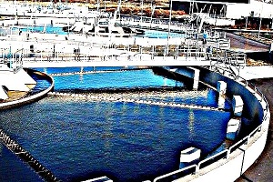 ACCIONA se adjudica el sistema de agua potable de Esmeraldas en Ecuador por 30 M$