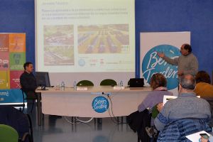 Las hel&oacute;fitas de ribera captan gran parte de los nutrientes existentes en el efluente de las EDAR