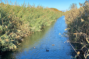Agua regenerada para mejorar el estado ecológico del Canal de la Bunyola en Cataluña