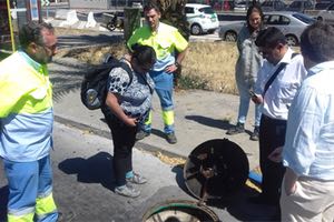 Cooperación sobre abastecimiento y saneamiento entre operadores de agua de Sevilla y Bolivia