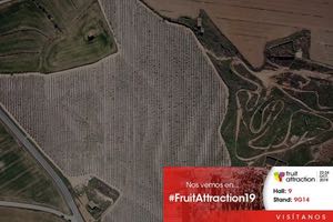 SUEZ Agriculture compartirá en Fruit Attraction sus soluciones para modernizar el sector agrícola