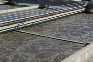 De agua residual a fertilizantes de alto valor añadido