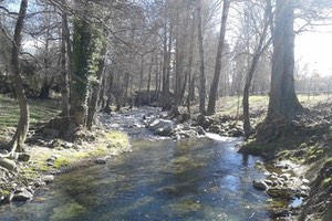 La CH del Duero lleva invertidos 710.000 € para actuaciones de mejora de cauces en la provincia de Zamora