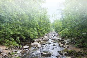 ¿Qué es el caudal ecológico de un río?