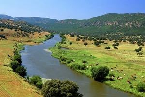 Las organizaciones y redes ambientales celebran que la Comisión Europea respalde la Directiva Marco del Agua