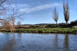 Científicos europeos identifican los problemas más acuciantes planteados por los compuestos químicos en el medio ambiente