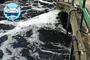 Bac-asili Hipo GC5400, para tratar los problemas en el tratamiento del efluente de la industria química