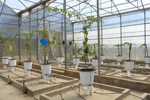 El grupo operativo Axarquía Sostenible publica los resultados tras 2 años de trabajo por una agricultura más eficiente y resiliente