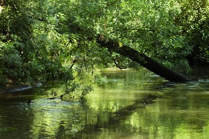 La Xunta destina 1 M€ a obras de saneamiento y depuración para mejorar la calidad ambiental del río Louro en A Coruña