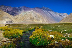 Cetaqua y TNC Chile firman un acuerdo de colaboración para investigar la conservación del agua y la biodiversidad