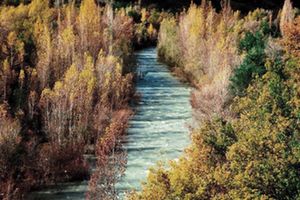 Balance positivo de la calidad de las aguas de Aragón