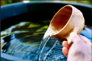 Alfa Laval impulsa el di&aacute;logo sobre la transici&oacute;n h&iacute;drica en Global Water Summit 2026