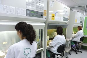 IPROMA amplía su alcance de acreditación ENAC