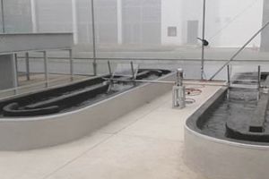 Biorrefinerías que generan biocombustibles a partir de microalgas y aguas residuales