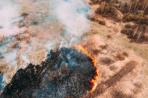 Canal de Isabel II bonificará el recibo del agua a los contratos afectados por incendios forestales