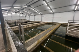 Aig&uuml;es de Manresa instala una gran carpa para frenar las algas y optimizar el tratamiento del agua