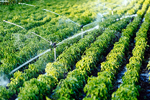 Idrica desarrolla nuevas tecnologías con técnicas de Big Data y analítica avanzada de datos para la optimización del riego agrícola