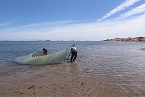 Un proyecto diseña una hoja de ruta con 14 soluciones para el desarrollo sostenible del Mar Menor